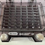 bio-rad | bio-dot sf | cell microfiltration apparatus | 1706542