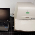 bio-rad cfx | real-time pcr