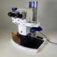 zeiss-stereo-discovery-v8-stereo-microscope