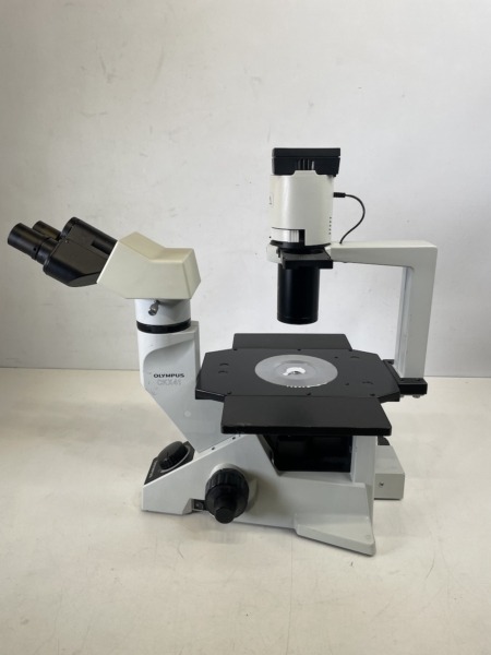olympus-ckx41sf-inverted-microscope-phase-contrast