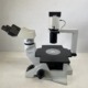 olympus-ckx41sf-inverted-microscope-phase-contrast