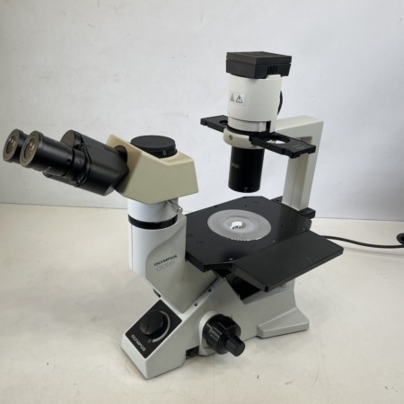 olympus-ckx41sf-inverted-microscope-phase-contrast-trinocular