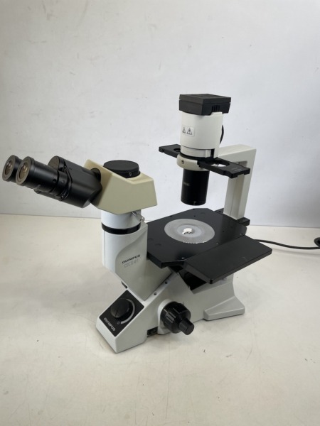 olympus-ckx41sf-inverted-microscope-phase-contrast-trinocular